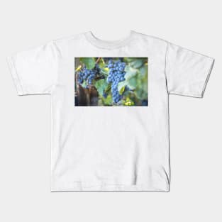 Red Wine Grapes Summer Vineyard Kids T-Shirt